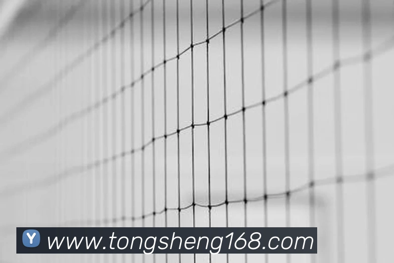 九游官网入口网址平台生态图