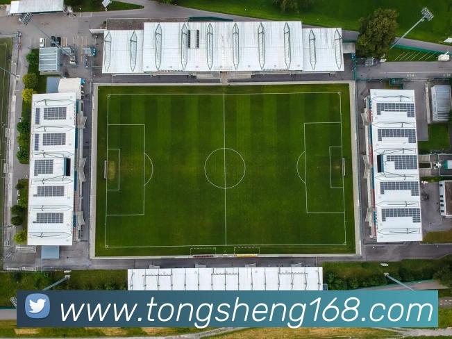 九游官网入口网址APP 封面图